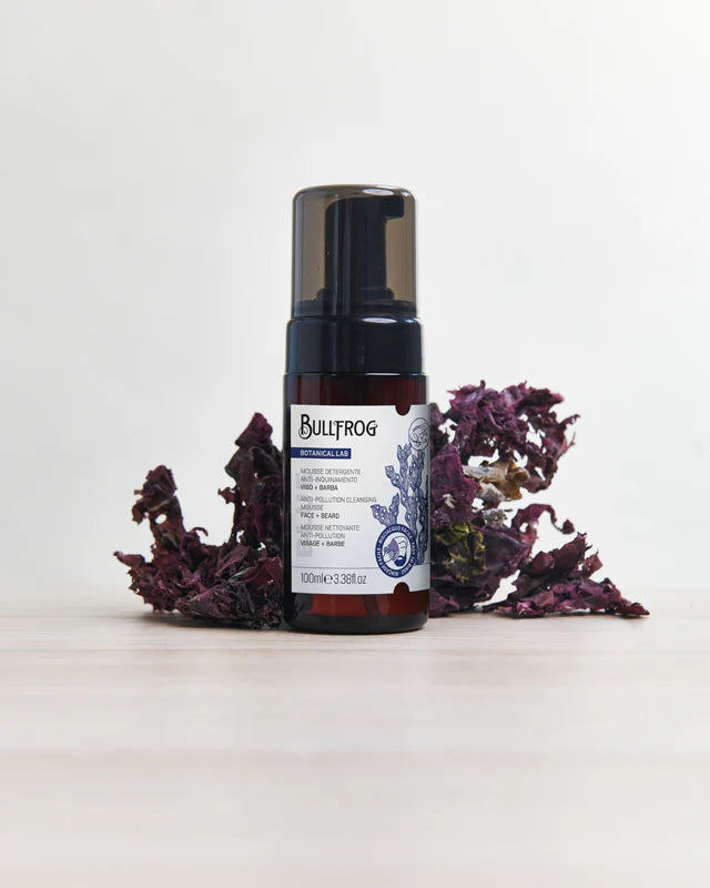 Anti-pollution cleansing mousse